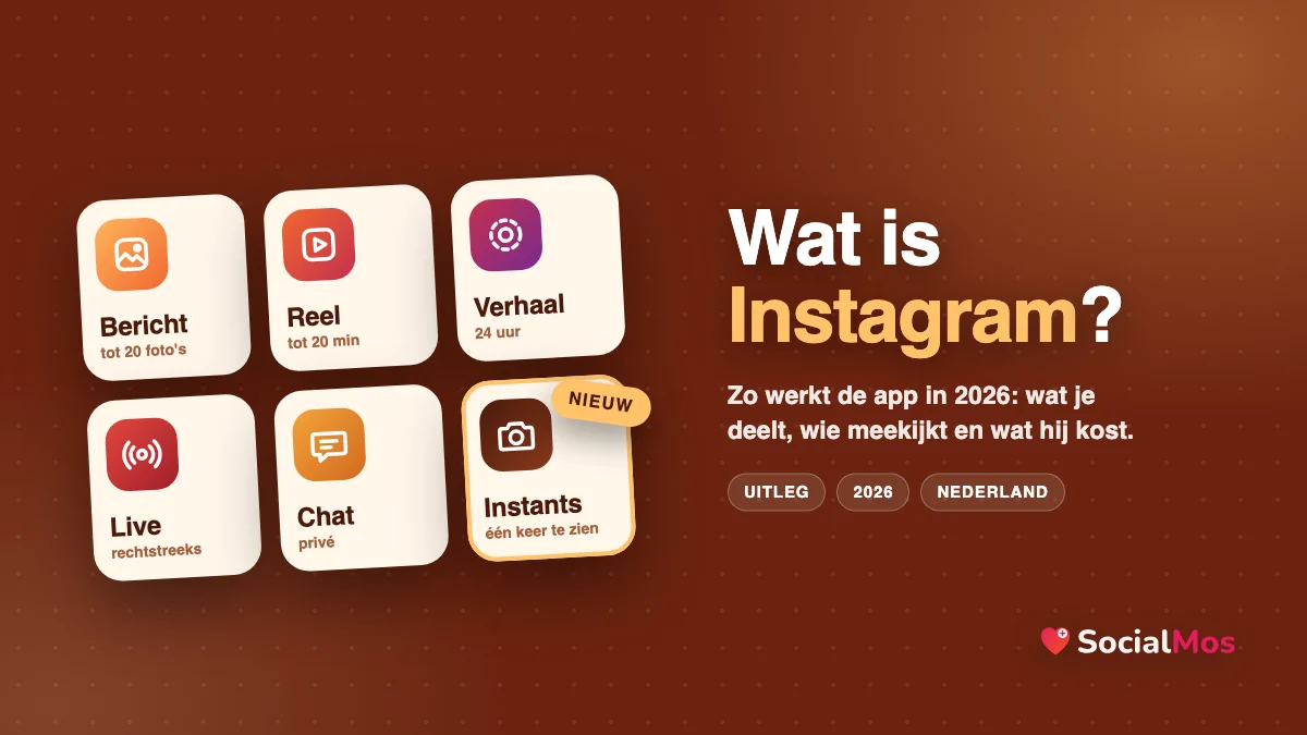 Illustratie: zes tegels met wat je op Instagram kunt delen (bericht, reel, verhaal, live, chat en Instants), met de tekst: Wat is Instagram?