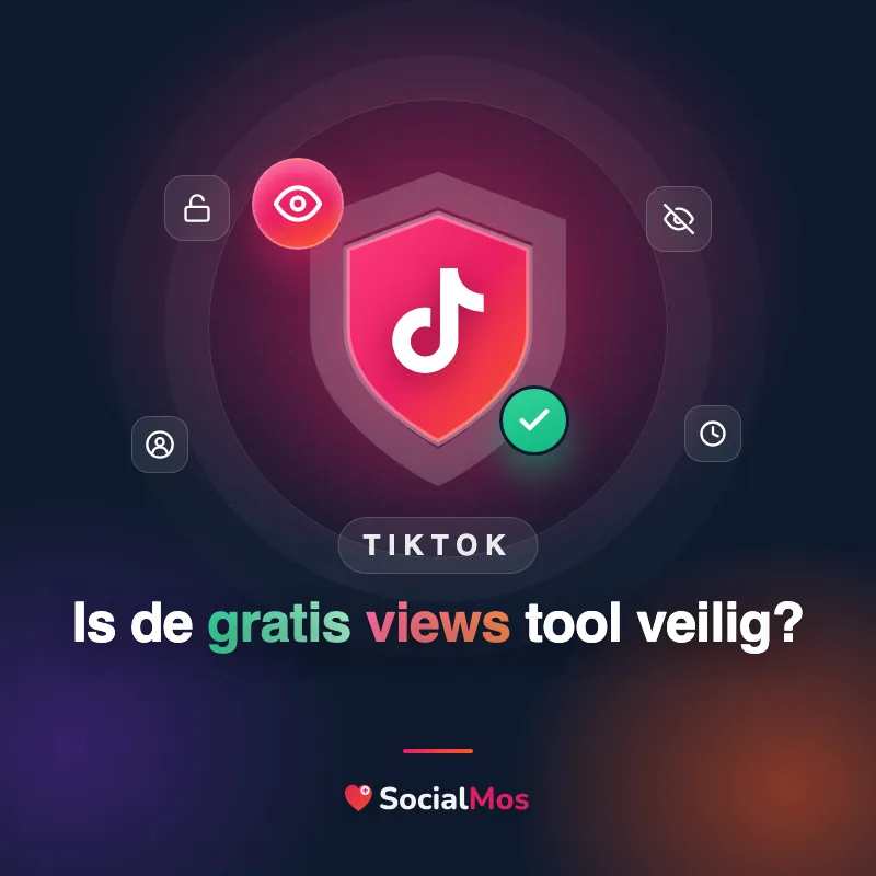 Schild met het TikTok-logo en een groen vinkje: is de gratis views tool veilig?