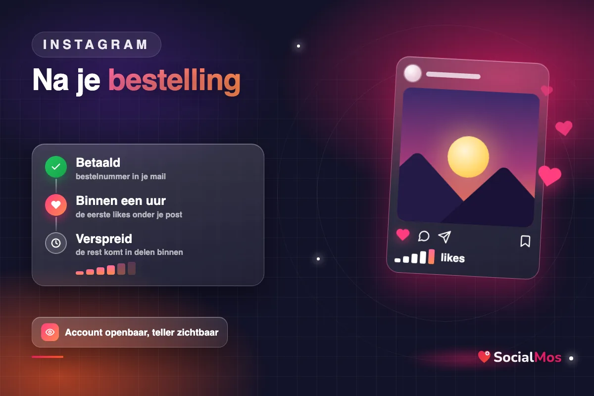 Tijdlijn na de bestelling: betaald, eerste likes binnen een uur, de rest verspreid
