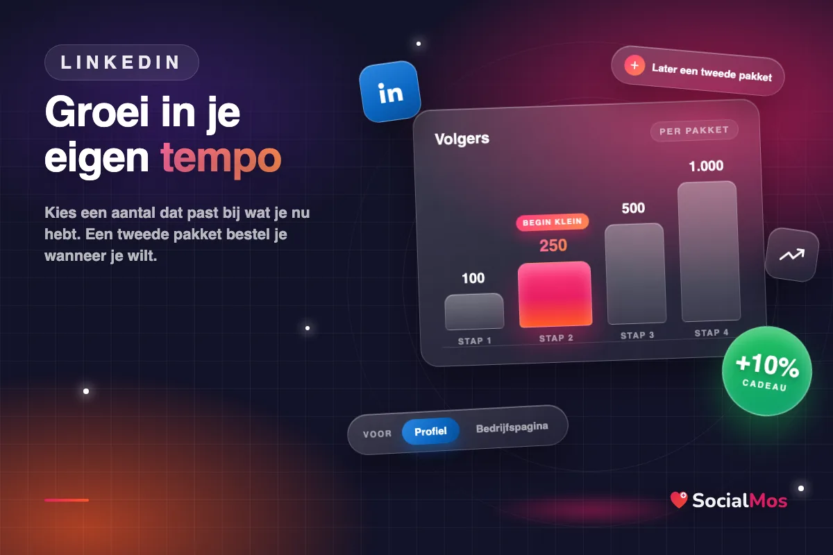 Groei in stappen op LinkedIn: pakketten van 100 tot 1.000 volgers voor profiel of bedrijfspagina, met 10% extra cadeau